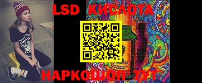 гашик Шелехов