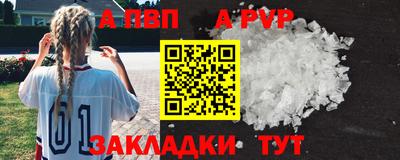 гашик Шелехов