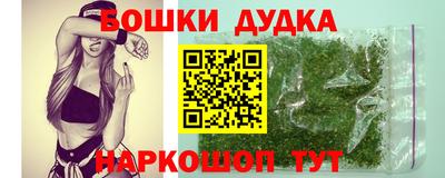 гашик Шелехов