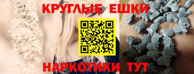 гашик Шелехов