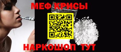 гашик Шелехов